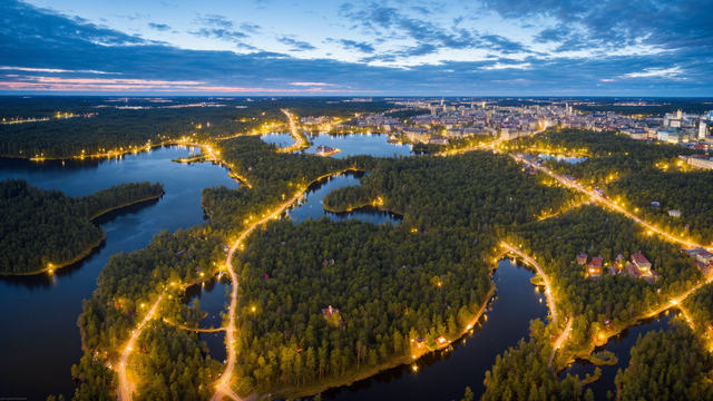 91香蕉成人免费网站