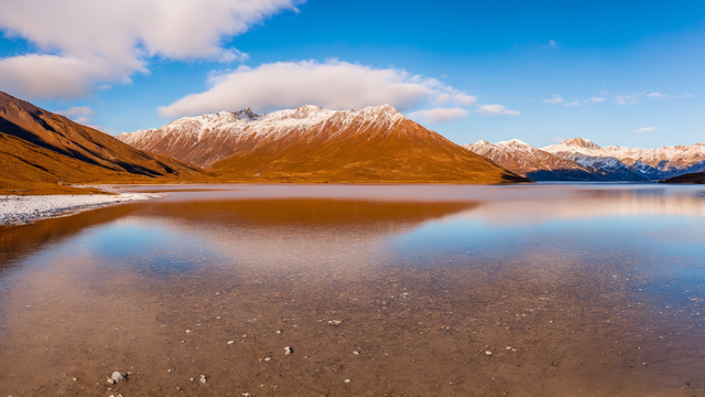 国产成人免费片在线视频观看